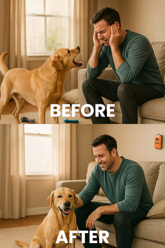 AUTOMATIC BARK SILENCER Stops Barking Instantly image AUTOMATIC BARK SILENCER Stops Barking Instantly