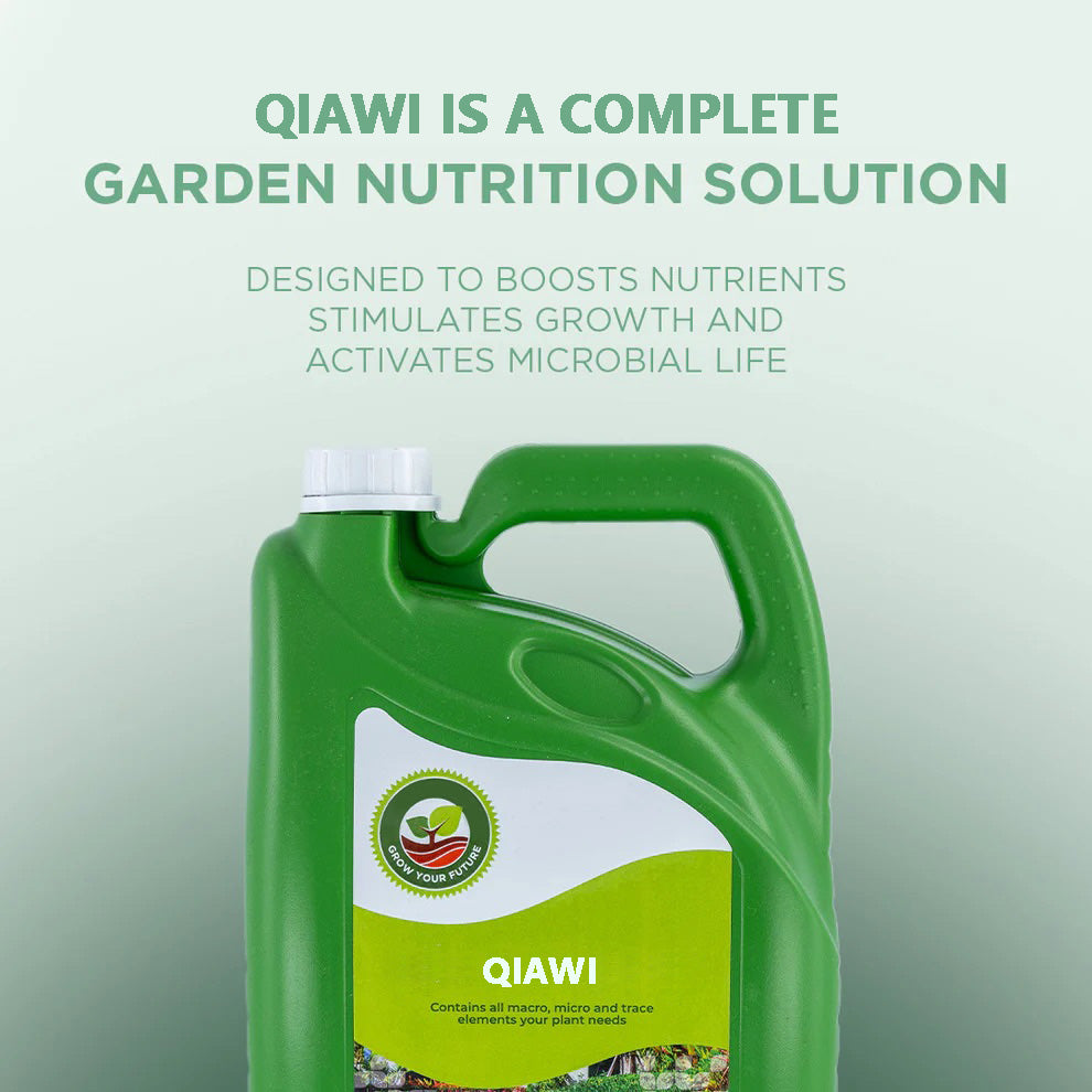 🔥Last Day 70% OFF🌱A Complete Garden Nutrition Solution