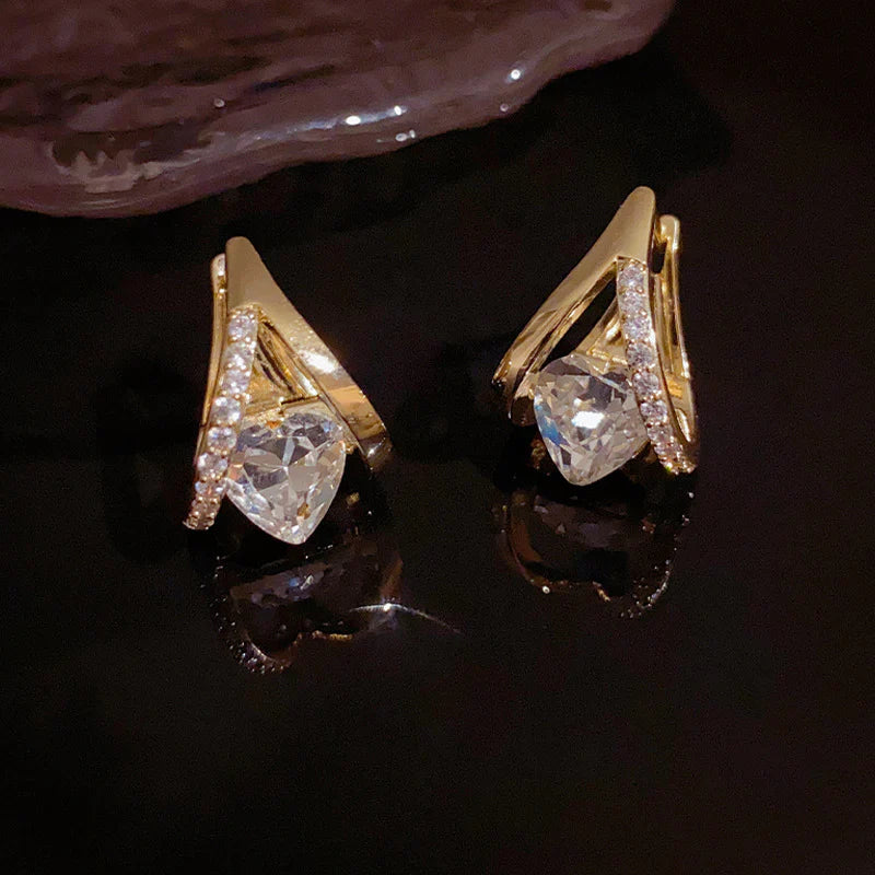 Histone Lymphatic MagneTherapy Germanium Earrings✨28-Day Results✨🔥🔥